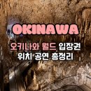 제일카악세사리(프로미카월드) | [오키나와 여행] 오키나와 월드 솔직 후기 | 입장권·위치·공연 총정리