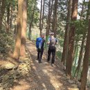 득량남초교 이미지