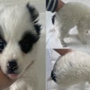 음암보건지소 이미지