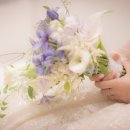 모카트리 이미지