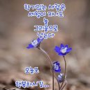 진이발관 이미지