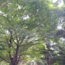 문경레저투어 | [경북문경]문경가볼만한곳/문경레저투어 산악바이크 후기/문경ATV