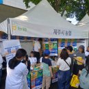 아라농산 | 제주시 농협 서포터즈 5월 활동기