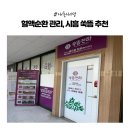 대야하이빌 | [내돈내경] 시험관 준비 몸관리 추천│시흥은행점 '쑥뜸천하' 쑥전신돔뜸 혈액순환 후기