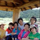 청산별곡 Daum카페