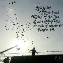 [iKON] 쇼미더머니 사이트 명예의 전당에 시즌3 우승자 바비 이미지