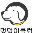 멍멍이클럽