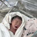 다정산부인과의원 | 가연 관악 산부인과 추천 제왕절개 후기 1일차