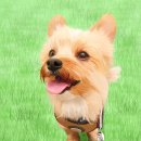 디지털 드로잉 기초 (오후) 이미지