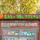 대교2길 이미지