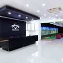 배틀존스크린골프 이미지