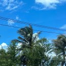 달샘목장 이미지