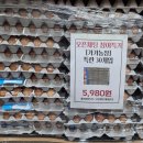 리빙코아 | 경기 광주 곤지암 도매콜 솔직후기｜도매 아니어도 구매 가능? "내돈내산후기"