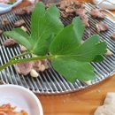 김해수 농장 이미지