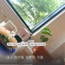 초록 대형 식물뷰 대구 침산동 브런치카페 카인즈커피