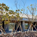 에코촌유스호스텔 이미지