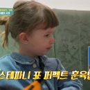미소나무태권도장새싹관