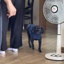 아가방플렉스 롯데아울렛수완점 이미지