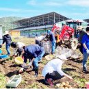 용산면 행정복지센터 이미지