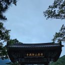 [문화유산_187] 국가문화유산 속초 신흥사 극락보전&amp; 강원 오감챌린지 설악향기길 방문후기_0606