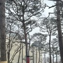 해어름 | 당진 해어름 베이커리 카페, 내돈내산 솔직후기 │당진 데이트 추천