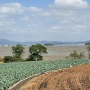 용정2리 경로당 이미지