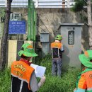 신안동10 이미지