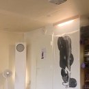 정승훈 | [안국 요가문화원 사다나 원데이 클래스 후기] 중상급자를 위한 90분 수련 with 정승훈 원장쌤