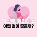 [비대면] 바른자세를 위한 홈트B | [마곡 필라테스]임산부를 위한 필라테스, 어떤 점이 좋을까?