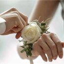 윌유케이크미 이미지