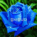 토요일 이미지