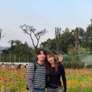 녹지약국 이미지