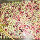 오색어린이집 이미지