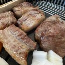 고기백과 티스토리