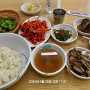 노포집 Daum카페