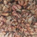 종구농장 이미지