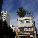 신중앙한의원 네이버블로그