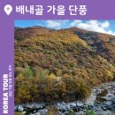 배내골 단풍 드라이브 영남알프스 경남 가을 단풍 명소 추천