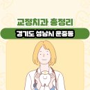 경기도 성남시 운중동 교정치과 총정리