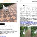 백구공원 이미지