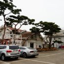 소나무 노래연습장 이미지