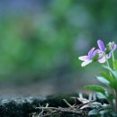 오늘은좋은날 이미지