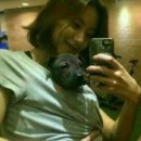 개팔자 상팔자 이미지