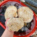 동홍북로 이미지