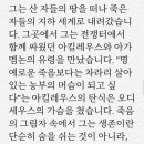 노스토스 이미지