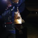 사량인펜션 이미지