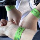 주식회사 시티호텔 | 아이랑 함께하는부산시티버스투어 (노선,예약,후기,팁)