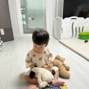 율동농장 이미지