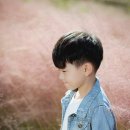 비슬향 유치원 이미지