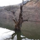 안덕면 하상못 | 청송여행